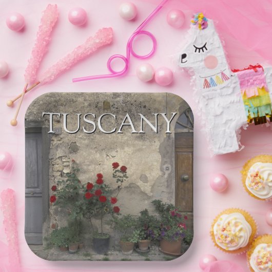 イタリア,トスカーナ |トスカーナの出入り口 ペーパープレート (パーティー)