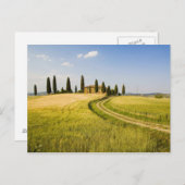 イタリア、トスカーナ、トスカーナヴィラが収穫に近い。 ポストカード (正面/裏面)