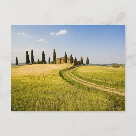 イタリア、トスカーナ、トスカーナヴィラが収穫に近い。 ポストカード (正面)