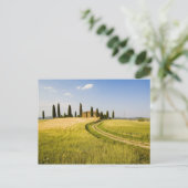 イタリア、トスカーナ、トスカーナヴィラが収穫に近い。 ポストカード (スタンド正面)