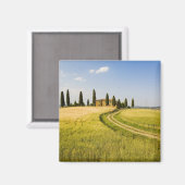 イタリア、トスカーナ、トスカーナヴィラが収穫に近い。 マグネット (正面/裏面)