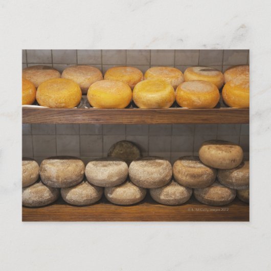 イタリア。トスカーナ。ピエンツァ。3 ポストカード (正面)