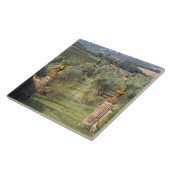 イタリア,トスカーナ,ブドウ畑 タイル (側面)