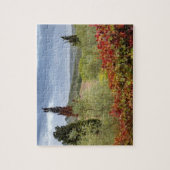 イタリア、トスカーナ、モンタルチーノの近くにあるブドウ園 ジグソーパズル (縦)