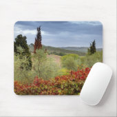 イタリア、トスカーナ、モンタルチーノの近くにあるブドウ園 マウスパッド (マウス)