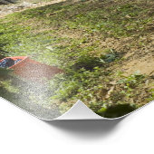 イタリア、トスカーナ、モンタルチーノ。収穫されたビン フォトプリント            (角)