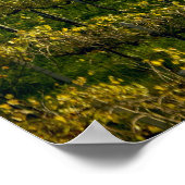 イタリア，トスカーナ，ヴィネヤード ポスター (角)