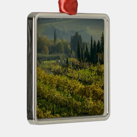 イタリア、トスカーナ、ヴィネヤード メタルオーナメント (右)