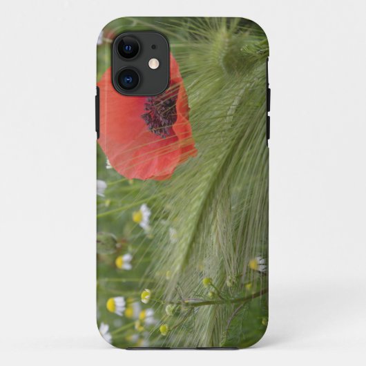 イタリア·トスカーナ，赤いケシの花 Case-Mate iPhoneケース (裏面)