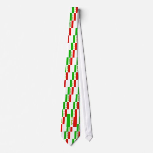 イタリア ネクタイ (正面)