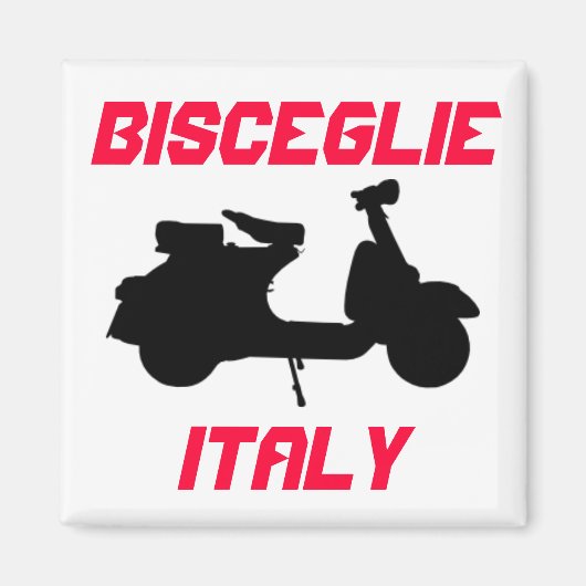 イタリア,ビスケグリー,スクーター マグネット (正面)