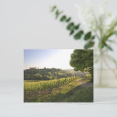 イタリア，ピエモンテ州，コスティグリオールダスティ ポストカード (スタンド正面)