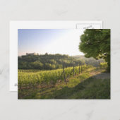 イタリア，ピエモンテ州，コスティグリオールダスティ ポストカード (正面/裏面)