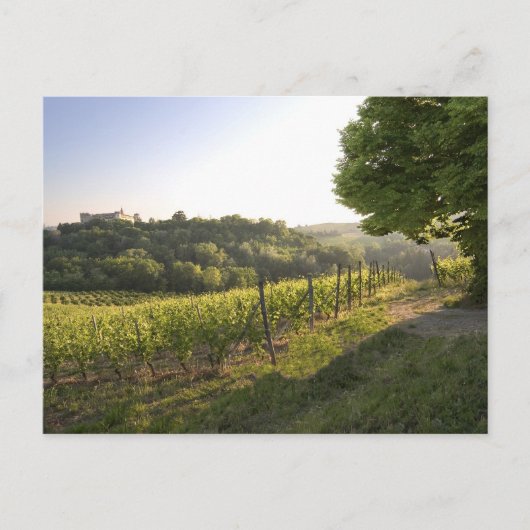 イタリア，ピエモンテ州，コスティグリオールダスティ ポストカード (正面)
