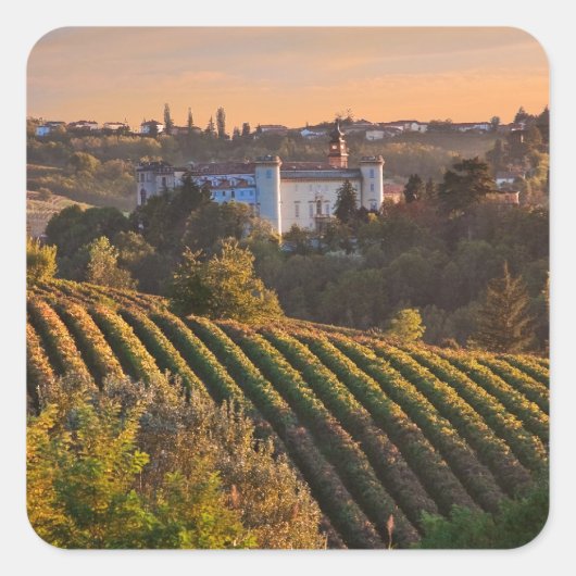 イタリア,ピエモンテ,コスチルジョレダスティ スクエアシール (正面)