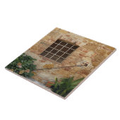 イタリア·ピエンザの窓と古代の石壁 タイル (側面)