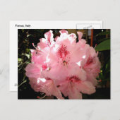 イタリア，ピエンツァ ポストカード (正面/裏面)