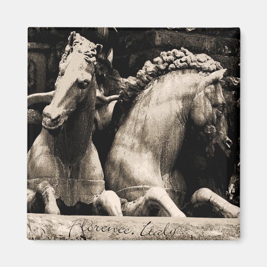 イタリア，フィレンツェの馬 マグネット (正面)