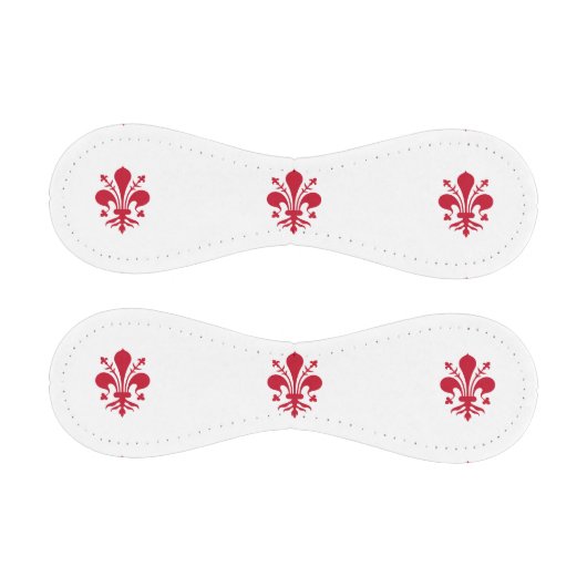 イタリア，フィレンツェ国旗を掲げた愛国野球 野球ボール (パネル)