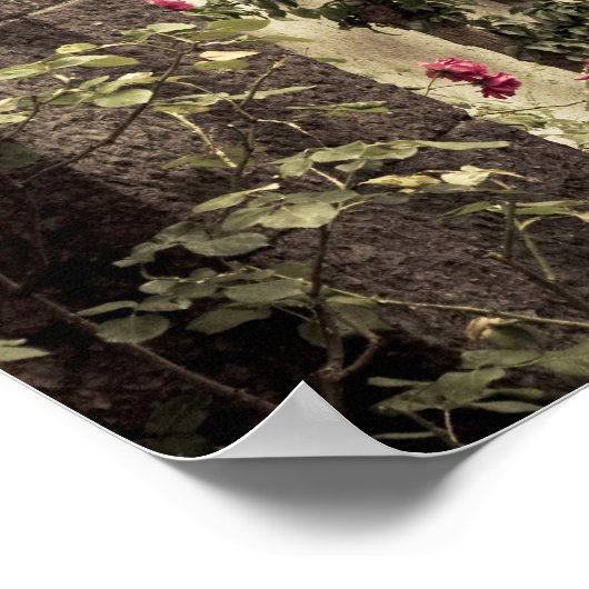 イタリア、ブレシア州、ガルドン・リビエラ。ガーデン ポスター (角)