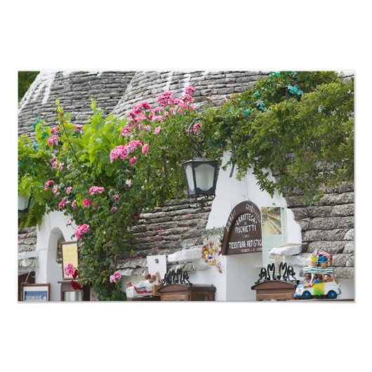 イタリア、プーリア、アルバベロ、テラ・デイ・トゥルーリ、 フォトプリント            (正面)