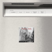 イタリア,ベネチア マグネット (インサイチュ (食洗機))