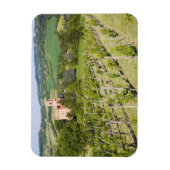 イタリア,ボローニャ,ヴィネヤードを通してChiesaへ マグネット (縦)