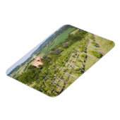 イタリア,ボローニャ,ヴィネヤードを通してChiesaへ マグネット (左側)