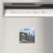 イタリア，ポンペイ マグネット (インサイチュ (食洗機))