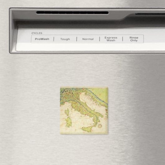 イタリア マグネット (インサイチュ (食洗機))