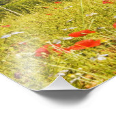 イタリア，モンテリゴーニ，フィールドビュー フォトプリント            (角)