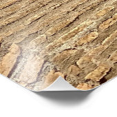 イタリア,ローマのコロシアムのレンガ構造 フォトプリント (角)