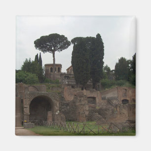 イタリア，ローマのパラティーンヒル マグネット