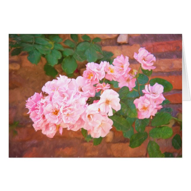イタリア・ローマの花開く薔薇（無地) (正面横)