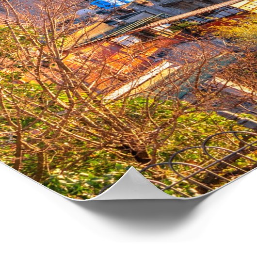 イタリア，ローマ ポスター (角)