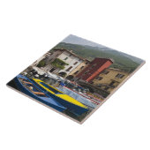 イタリア、ヴェローナ県、マルチェージネ。古いカッソーネ2 タイル (側面)