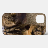 イタリア、Cinque Terre、Vernazza。 側3匹の猫 Case-Mate iPhoneケース (裏面 (横))