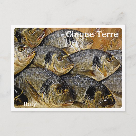 イタリアCINQUE TERRE – 鯛の魚 – ポストカード (正面)