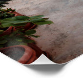 **イタリアItalia AP12通り植物抑制ポスター ポスター (コーナー)