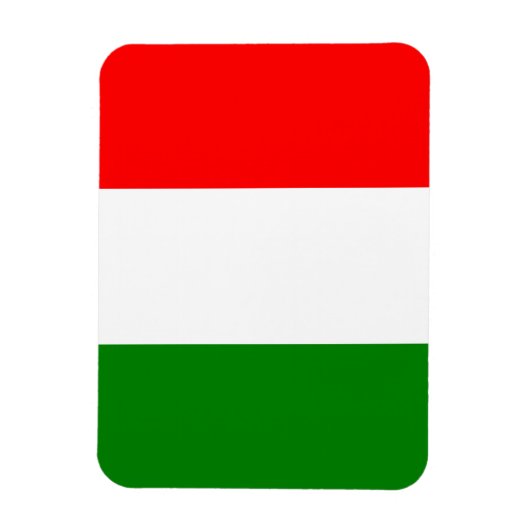 イタリイタリアンア・バンディエラ・ダリア・マグネット国旗 マグネット (縦)