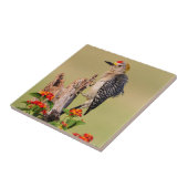 イダルゴ郡、テキサス州。黄金の葉を持つキツネザル タイル (側面)