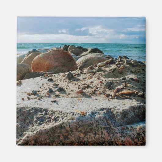 イチはニチヴィエルにナール・ミエを巻き込む マグネット (正面)