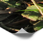 イチイの木の下の雪パーソナライズされた- ポスター (角)