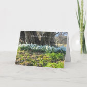 イチイの木の下の雪 – パーソナライズされた誕生日 カード (裏面)