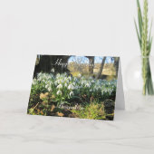 イチイの木の下の雪 – パーソナライズされた誕生日 カード (正面)