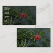 イチイ材の木フルーツ(イチイのbrevifolia) 名刺 (正面/裏面)