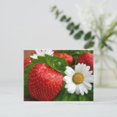 イチゴとデイジー ポストカード (スタンド正面)
