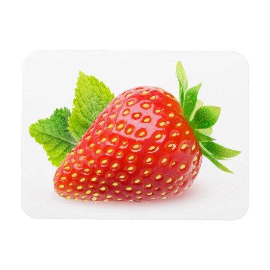 イチゴとミント マグネット (横)