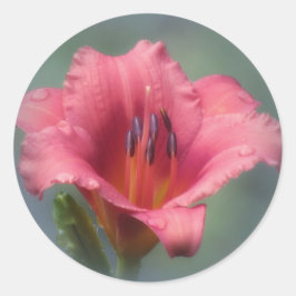 イチゴと青 – Daylily ラウンドシール