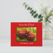 イチゴのハートで日付を保存！ 案内ポストカード (スタンド正面)